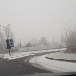 freddo