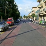 Arcella