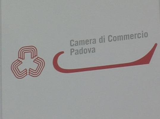 Camera Commercio