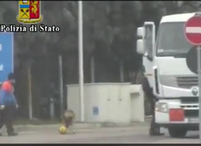 Operazione Cane Nero