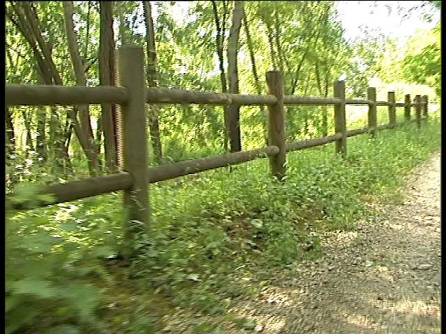 Parco Vigonovo