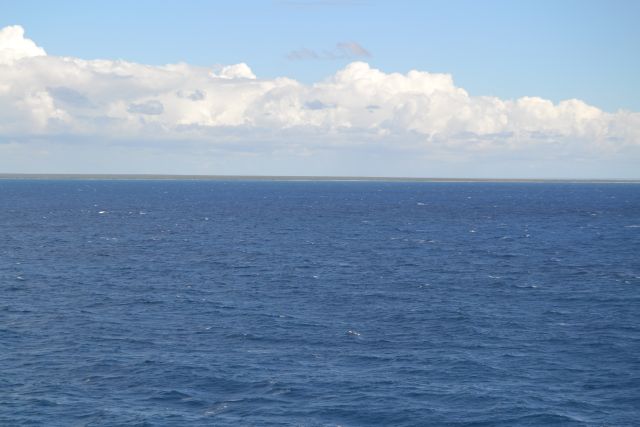 mare